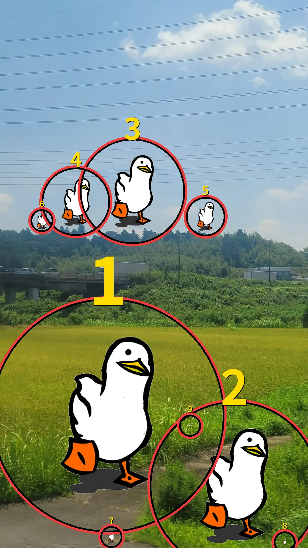答え合わせ