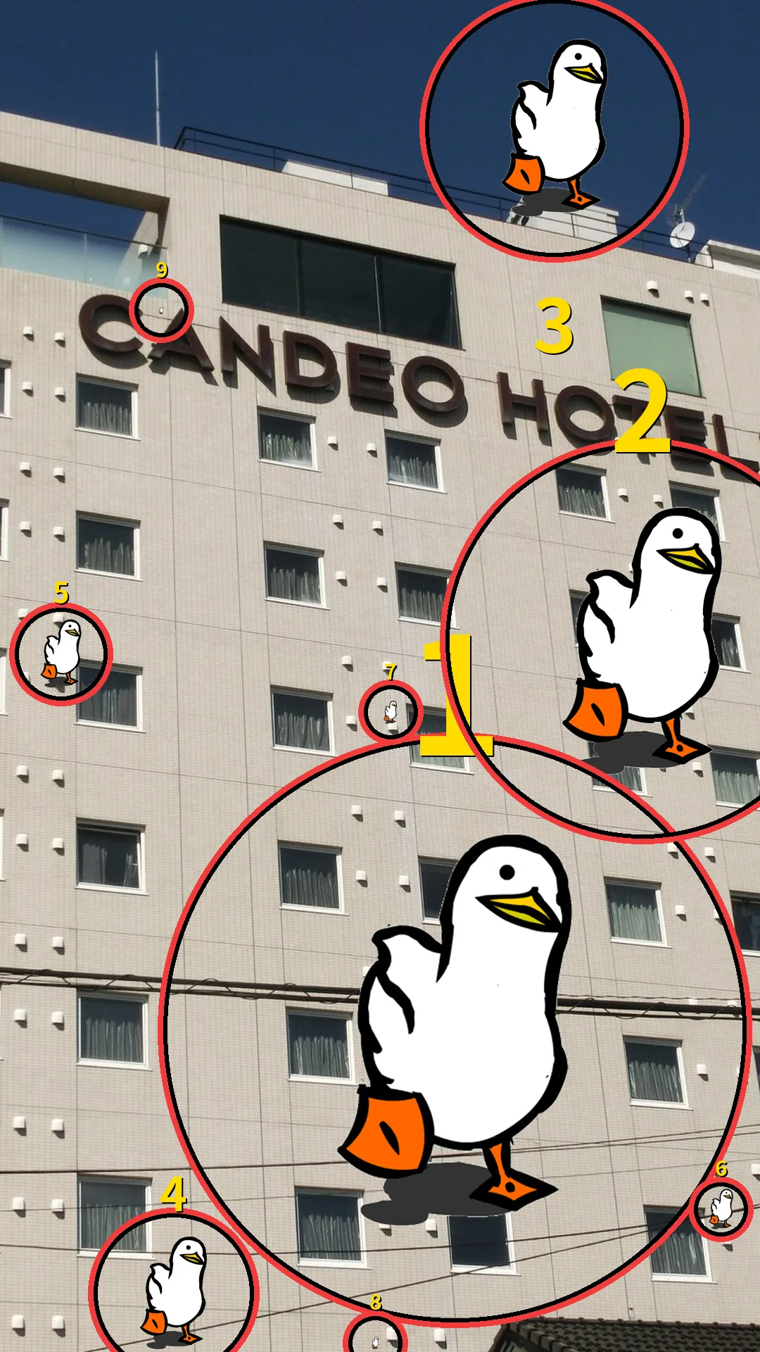 答え合わせ